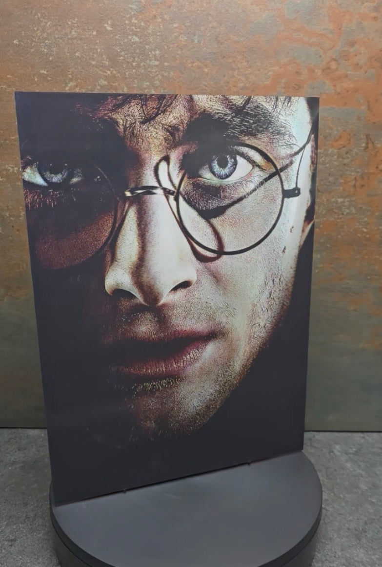Voldemort & Harry Potter - 3D Lentikularbild mit 2 Motiven