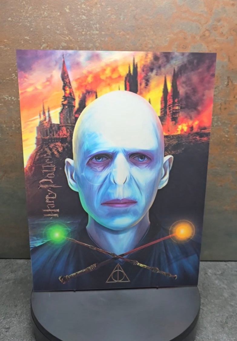 Harry Potter vs Voldemort - 3D Lentikularbild mit 2 Motiven