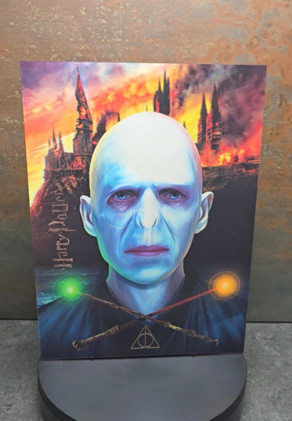 Harry Potter vs Voldemort - 3D Lentikularbild mit 2 Motiven