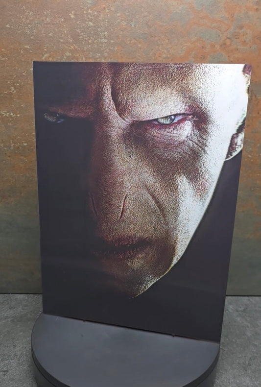 Voldemort & Harry Potter - 3D Lentikularbild mit 2 Motiven