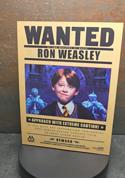 Harry Potter Wanted Posters 3 Hauptcharaktere - 3D Lentikularbild mit 3 Motiven