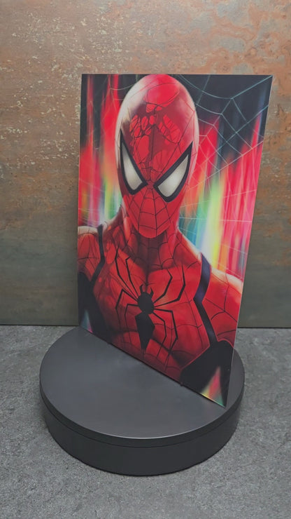 Spider-Man 3 Versions - 3D Lentikularbild mit 3 Motiven