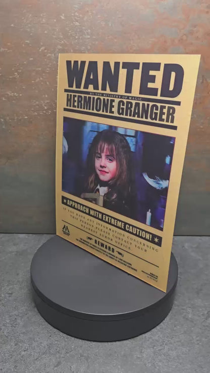 Harry Potter Wanted Posters 3 Hauptcharaktere - 3D Lentikularbild mit 3 Motiven